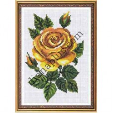 Схема для вишивання картини "Золотиста троянда" К2269