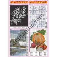 Узори вишивок №338(24) 