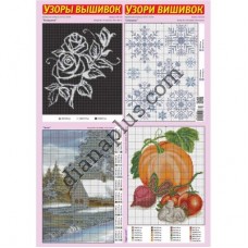 Узори вишивок №338(24) 