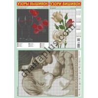 Узори вишивок №313(23) 