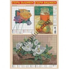 Узори вишивок №288(22)