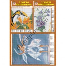 Узори вишивок №125(3)