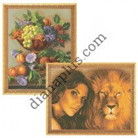 Кольорові символьні схеми для вишивання Артикул Z1706