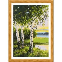 Набір для вишивання картини "Вечірнє сяйво" P1846