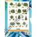 Абетка в картинках F8 "Trees" А2