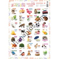 Абетка в картинках В8 "70 перших англійських слів" А3 з витисканням