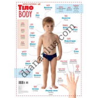 Абетка в картинках В11 "Моє тіло" А3 з витисканням