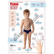 Абетка в картинках В11 "Моє тіло" А3 з витисканням