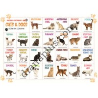 Абетка в картинках L16 "Cats&Dogs" А4 ламінована