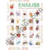 Абетка в картинках В15 "English" А3 з витисканням