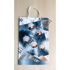 Пакет подарунковий 27х17х6 см №2