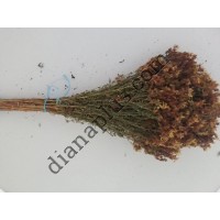 Ароматний віник для бані зі звіробою