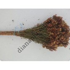 Ароматний віник для бані зі звіробою