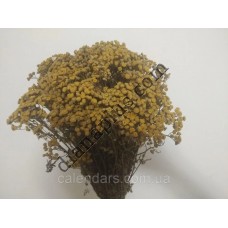 Ароматний віник для бані з пижма звичайного