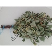 Ароматний віник для бані з липи