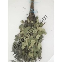 Ароматний віник для бані з кропиви дводомної та берези