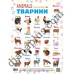 Абетка в картинках B35 «Тварини» А3 з витисканням