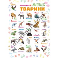 Абетка в картинках B35 «Тварини» А3 з витисканням