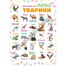 Абетка в картинках B35 «Тварини» А3 з витисканням