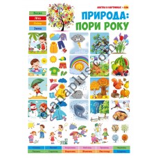Абетка в картинках B34 «Природа: пори року» А3 з витисканням