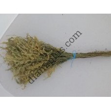 Ароматний віник для бані з золотарника