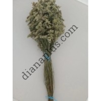 Ароматний віник для бані з деревію