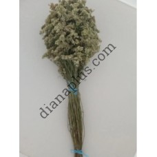 Ароматний віник для бані з деревію