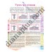 Чарівні Узори для в’язання спицями та гачком №123