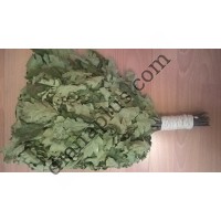 Цілющий Дубовий віник для бані