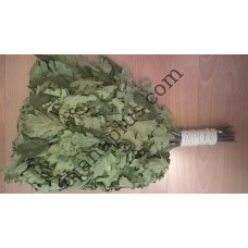 Цілющий Дубовий віник для бані