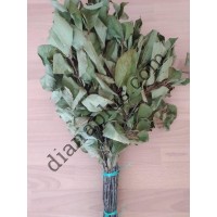 Ароматний віник для бані з вишні