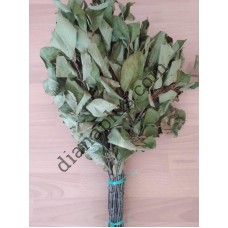 Ароматний віник для бані з вишні