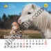Свято кожен день. Календар 2026 Рік коня. Funny horse