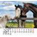 Свято кожен день. Календар 2026 Рік коня. Funny horse