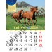 Календар Світовид 2026 Рік Червоного Вогняного Коня. Астрокалендар