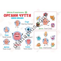 Абетка в картинках L41 Органи чуття (Sense organs) формат А4