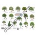 Абетка в картинках Л45 "Tree and Flower in English" А4 