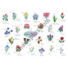 Абетка в картинках L45 "Tree and Flower in English" А4 