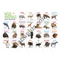 Абетка в картинках L33 Дикі та домашні тварини (Wild and Domestic Animals) формат А4