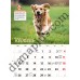 Календар 2027 Породи собак (Breeds of Dogs) із серії Світовид
