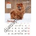 Календар 2027 Породи собак (Breeds of Dogs) із серії Світовид
