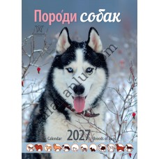 Календар 2027 Породи собак (Breeds of Dogs) із серії Світовид