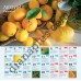 Місячний посівний календар 2027 (Monthly Planting Calendar) із серії Свято кожен день