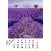 Подарунковий Календар 2027 Лавандові мрії (Lavander Dreams) Формат А3 Подарунковий Календар 2027 Лавандові мрії (Lavander Dreams) Формат А3