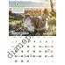 Календар 2027 Породи кішок (Breeds of Cats) із серії Світовид Календар 2027 Породи кішок (Breeds of Cats) із серії Світовид