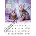 Календар 2027 Породи кішок (Breeds of Cats) із серії Світовид Календар 2027 Породи кішок (Breeds of Cats) із серії Світовид