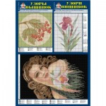 Архівні видання "Узорів вишивок"